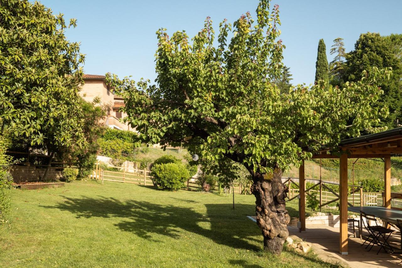 Toscana Da Sogno A Villa Allegria Siena Exterior photo